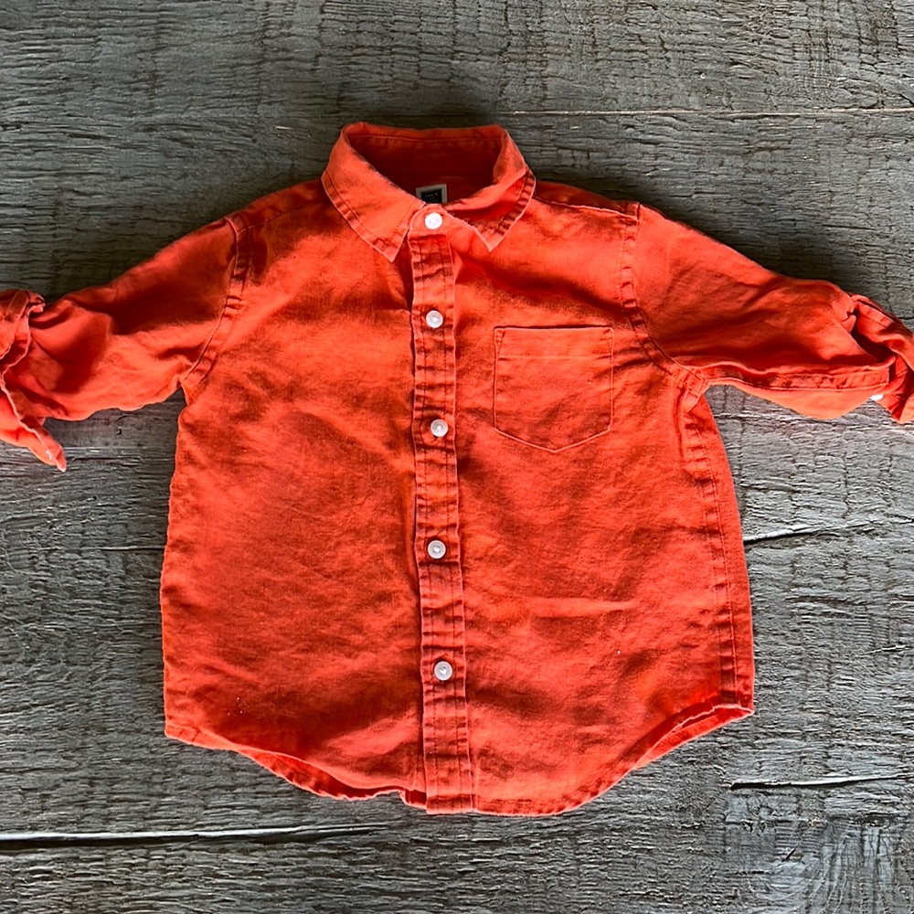 Janie and Jack Button Down